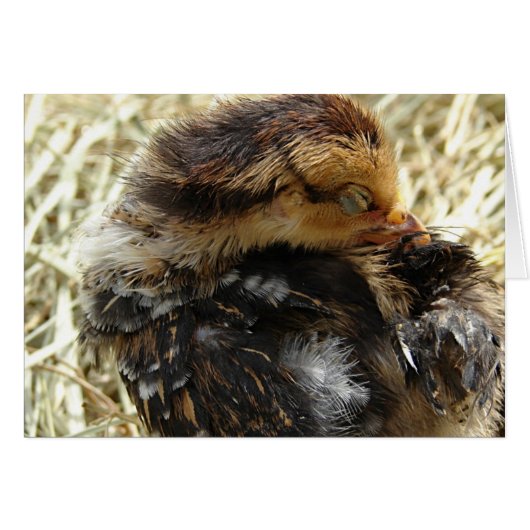 Ik heb een jeuk. (Voorkant Horizontaal)