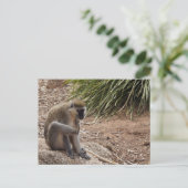 Ik heb een Jeuk - Spider Monkey Briefkaart (Staand voorkant)