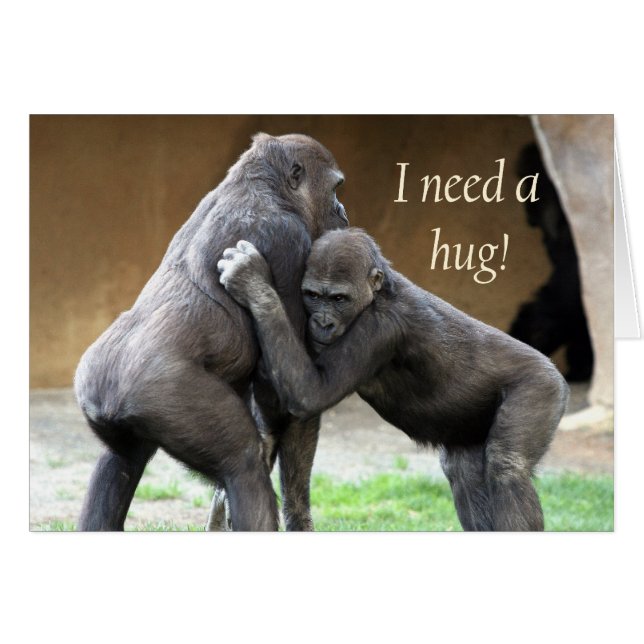 Ik heb een knuffel nodig (Voorkant Horizontaal)