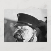 Ik heb een nap nodig: 1923 briefkaart (Voorkant)