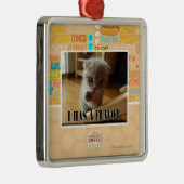 Ik heb een smaak metalen ornament (Rechts)