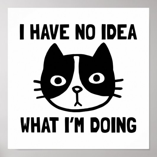 Ik heb geen idee wat ik kat doe poster (Voorkant)