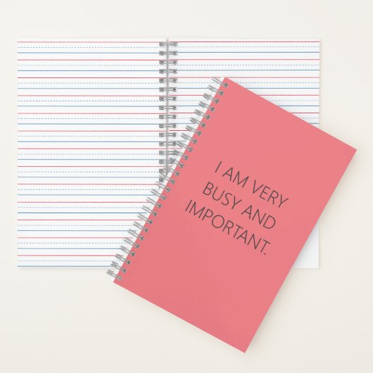 IK HEB HET ERG DRUK EN BELANGRIJK NOTITIEBOEK (Binnen)