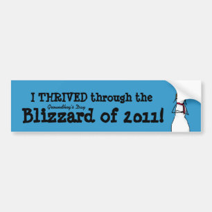 Ik heb het Groundhog's Day Storm van 2011 gedreven Bumpersticker