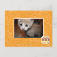 Ik heb het niet gedaan.