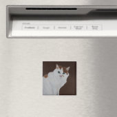 Ik heb het niet gedaan magneet (Insitu (Vaatwasser))