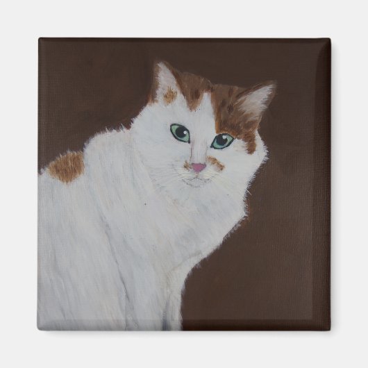 Ik heb het niet gedaan magneet (Voorkant)