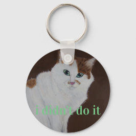 Ik heb het niet gedaan sleutelhanger