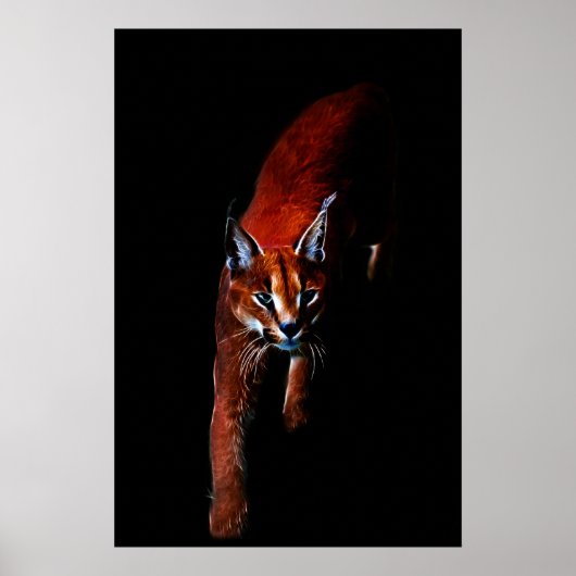 Ik heb het. poster (Voorkant)