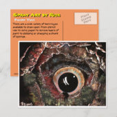 Ik heb je gevonden. briefkaart (Voorkant / Achterkant)