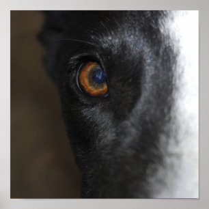 Ik heb je in de gaten - Poster