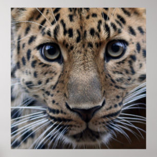 Ik heb je nodig... poster