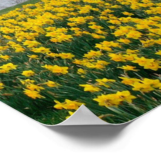 IK HEB LANGZAAM GEWANDERD ALS EEN CLOUD POSTER (Hoek)