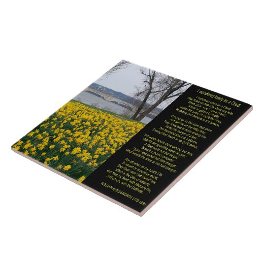 IK HEB LANGZAAM GEWANDERD ALS EEN CLOUD TEGELTJE (Zijkant)