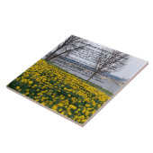 IK HEB LANGZAAM GEWANDERD ALS EEN CLOUD TEGELTJE (Zijkant)