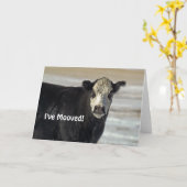 Ik heb me geboeid. Wenskaart Kaart (Gele Bloem)