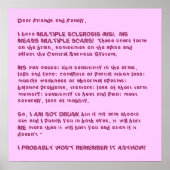 IK HEB MEERDERE SCHERMEN... POSTER (Voorkant)