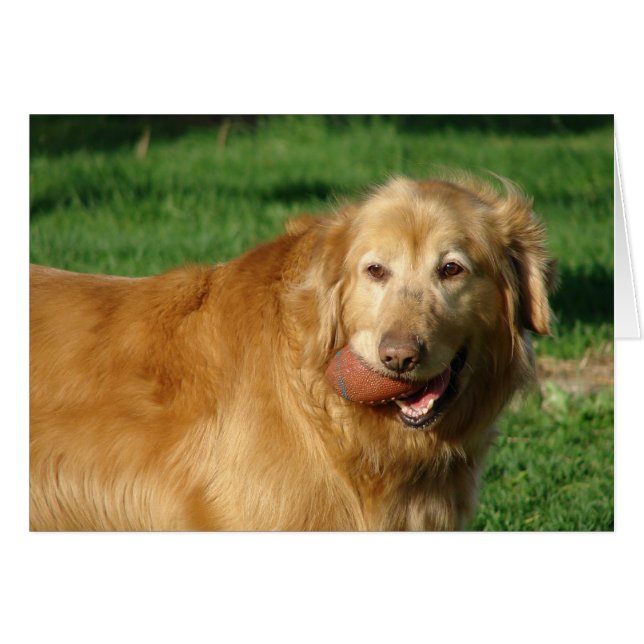 Ik heb mijn Football (Voorkant Horizontaal)