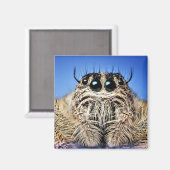 Ik heb mijn ogen op je! magneet (Voorkant / Achterkant)