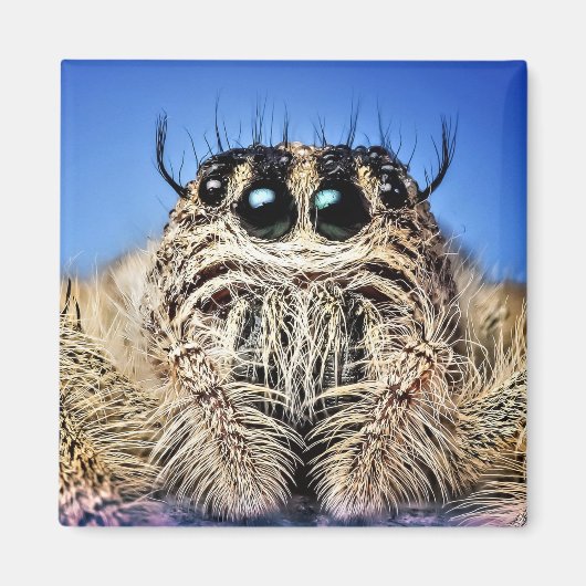 Ik heb mijn ogen op je! magneet (Voorkant)