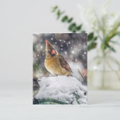 Ik heb mijn oog op jou. briefkaart (Staand voorkant)