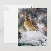 Ik heb mijn oog op jou. briefkaart (Voorkant / Achterkant)