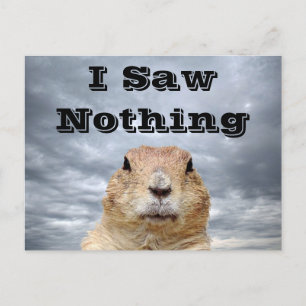 Ik heb niets gezien op Groundhog Day Briefkaart