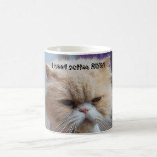 Ik heb nu koffie nodig met een Perzische kattenkof Koffiemok