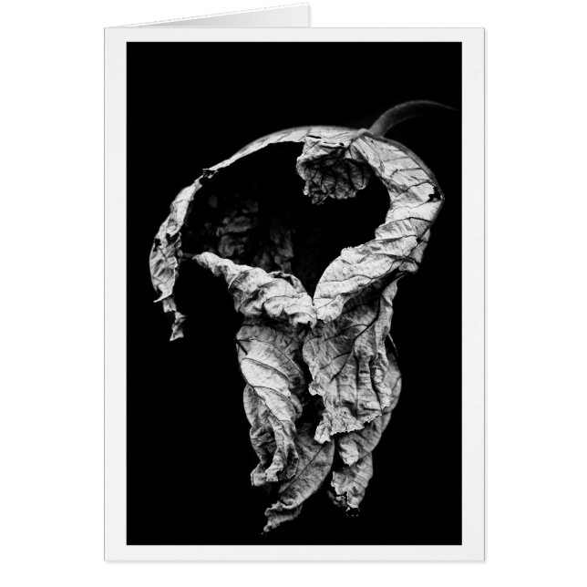 Ik heb op je gewacht (Voorkant)