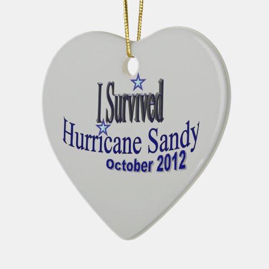 Ik heb orkaan Sandy Ornament overleven (Links)