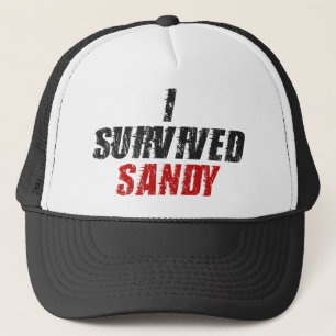 Ik heb Sandy overleefd - Hurricane Sandy Pet (zwar