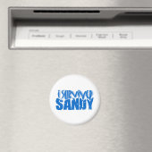 Ik heb SANDY overleefd Magneet (Insitu (Vaatwasser))