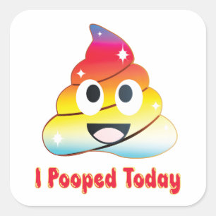 ik heb vandaag gepoept zindelijkheidstraining vierkante sticker