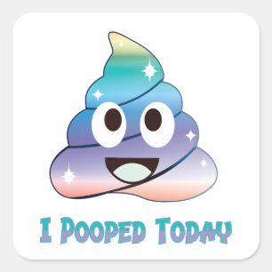 ik heb vandaag gepoept zindelijkheidstraining vierkante sticker