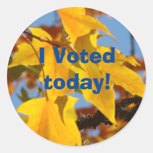 Ik heb vandaag gestemd! stickers Stemmen aangepast (Voorkant)