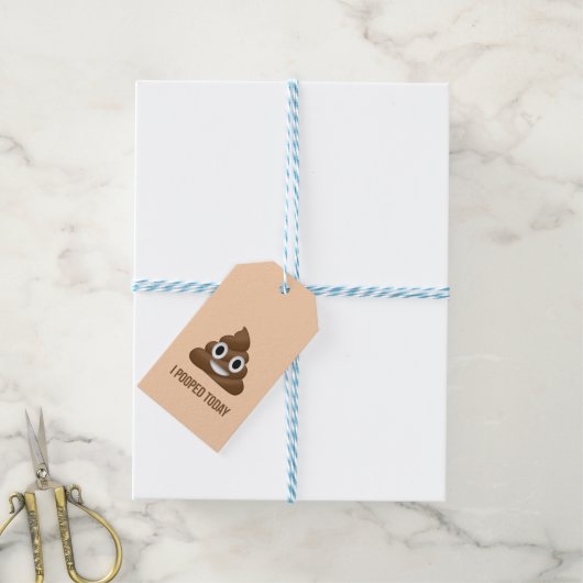 Ik heb vandaag Poo Emoticon glimlachen Cadeaulabel (Met Touw)