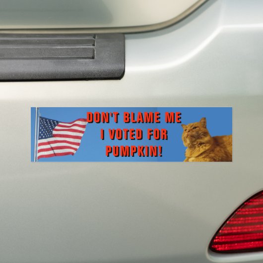 Ik heb voor Pumpkin gestemd. Bumpersticker (Op auto)