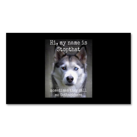 Ik heet Stopthat Funny Hyper Siberian Magnetisch Visitekaartje (Voorkant)