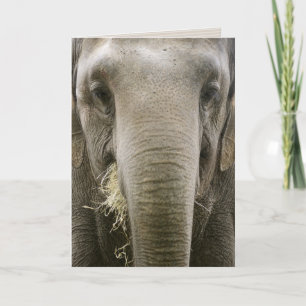 "Ik herinner me" wenskaart Kaart