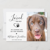 Ik hield eerst van haar moderne huisdier foto hond aankondiging (Voorkant)