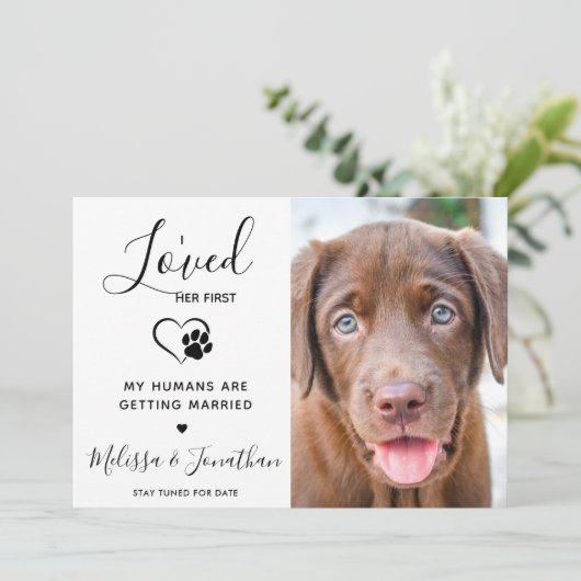 Ik hield van haar eerst moderne huisdier foto hond aankondiging (Staand voorkant)