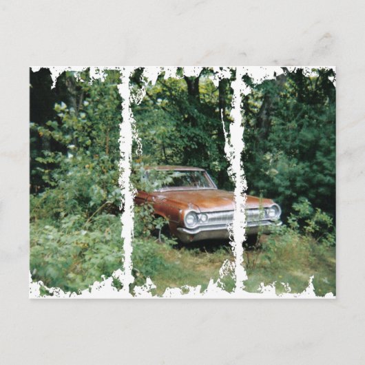 Ik hielp de Goldeneagle van het oude Orchard stran Briefkaart (Voorkant)