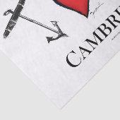 IK HOOP VAN CAMBRIDGE TISSUEPAPIER (Detail)