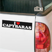 IK HOOP VAN CAPYBARAS BUMPERSTICKER (Op Truck)