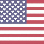 IK HOOP VAN DE VERENIGDE STATEN VAN AMERIKA STICKER (Voorkant)