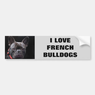 IK HOOP VAN FRANSE BULLDOGS BUMPERSTICKER