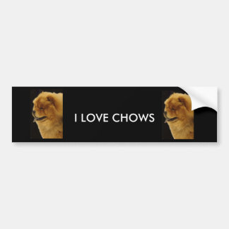 IK HOOP VAN KEUZES BUMPERSTICKER