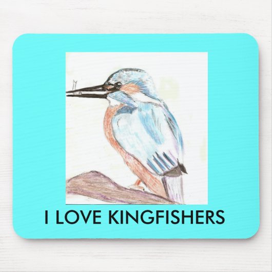 IK HOOP VAN KINGFISHERS MUISMAT (Voorkant)