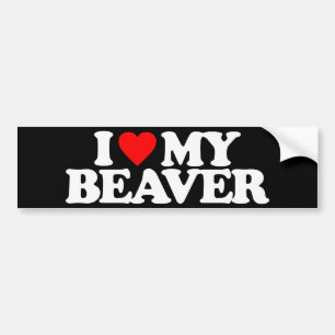 IK HOOP VAN MIJN BEAVER BUMPERSTICKER