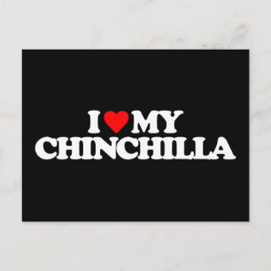 IK HOOP VAN MIJN CHINCHILLA BRIEFKAART